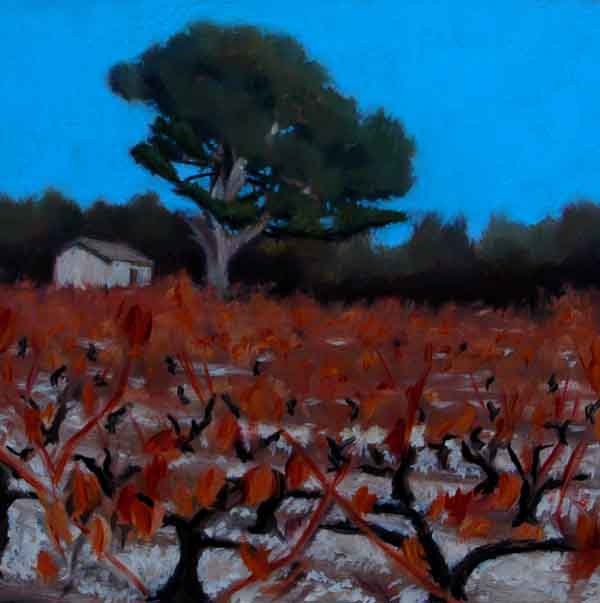 Autumn Painting of vineyard in Provence | Vines in St Hippolyte by John O'Grady 