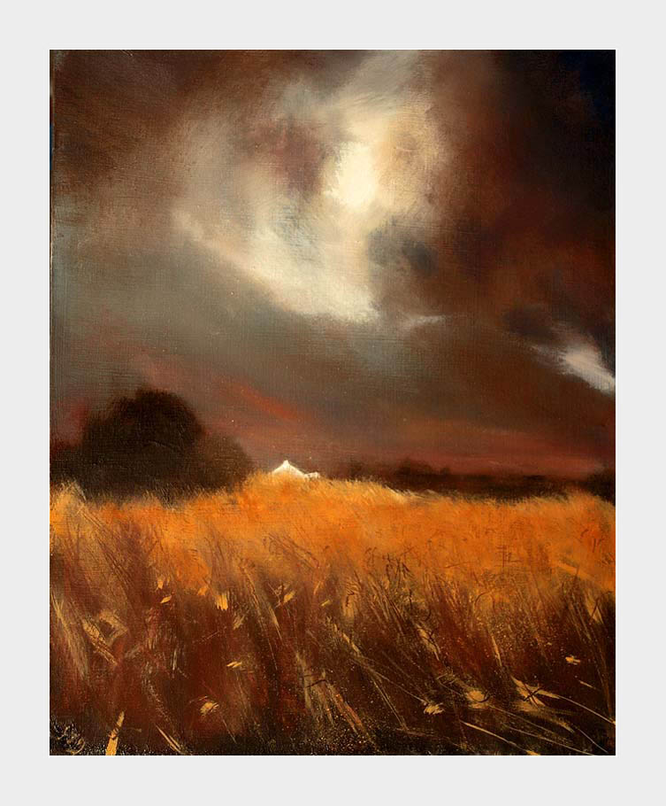A dark brooding sky contrasts with the rich orange-gold field
