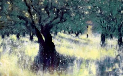 Olive Grove in Les Baronnies #296