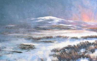 Winter on Mount Kippure II #281