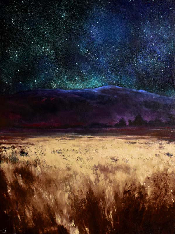 Starry Night on the bogland