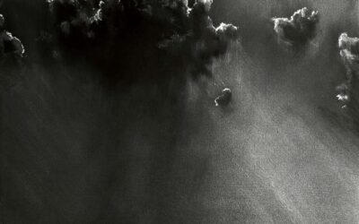 Take me to the Island XI #322