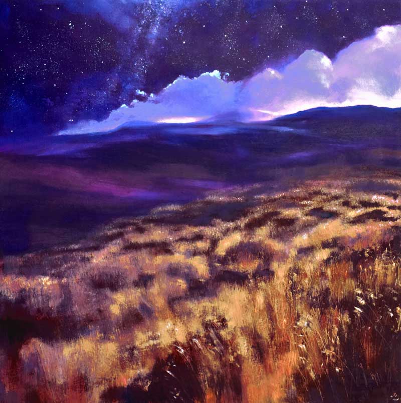 Irish nocturne with dark purple sky and bog grasses | You Are Everything VII by John O'Grady