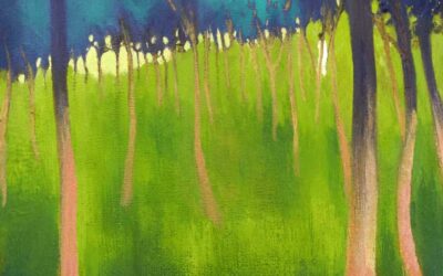 The Orchard in Les Baronnies