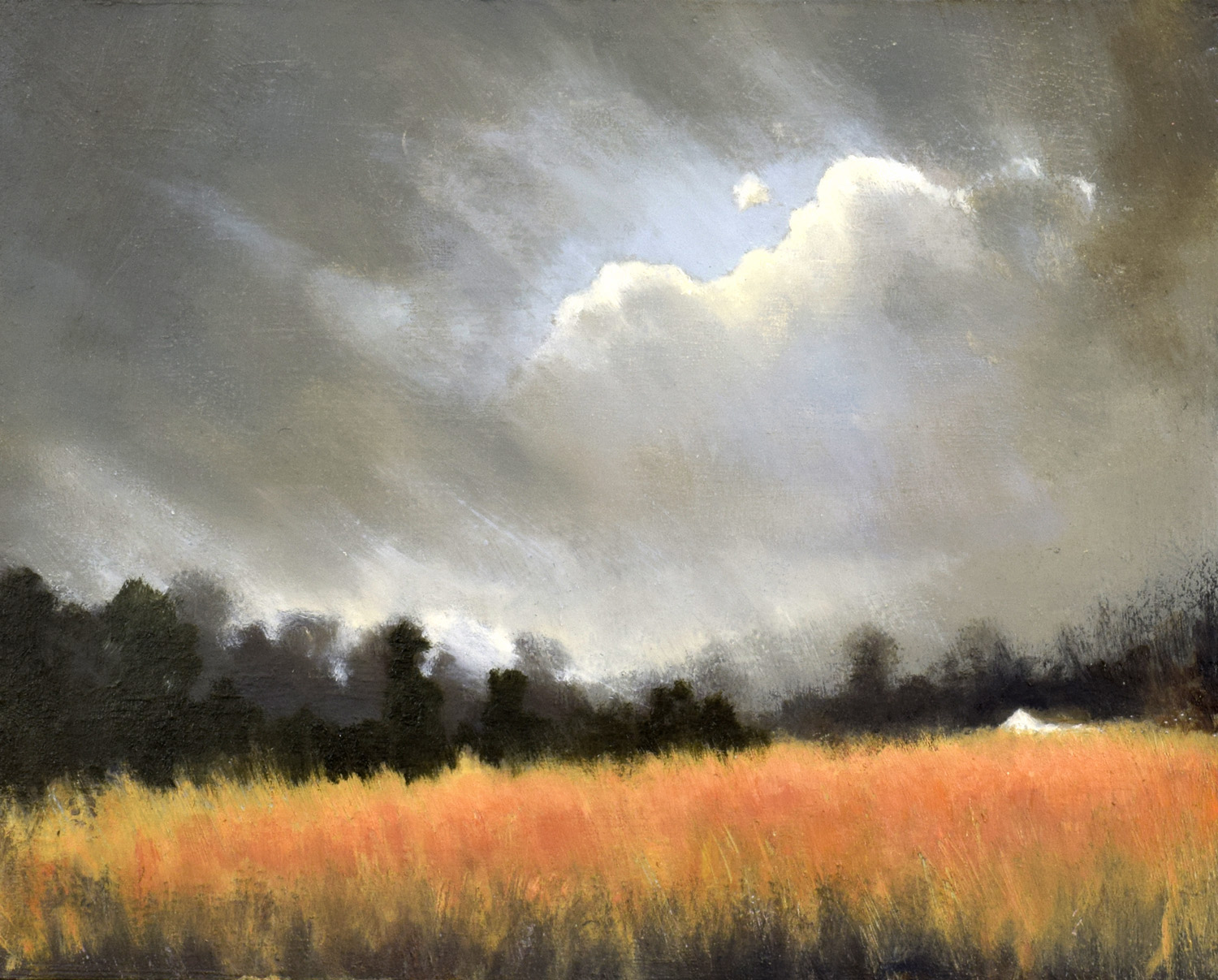 The Golden Field II