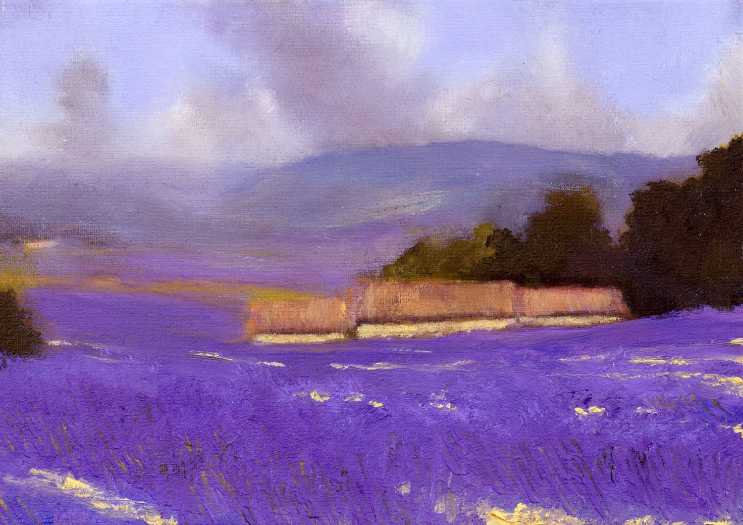 A landscape painting with a dazzling lavender field in full bloom | Evening in the Lavender fields by John O'Grady