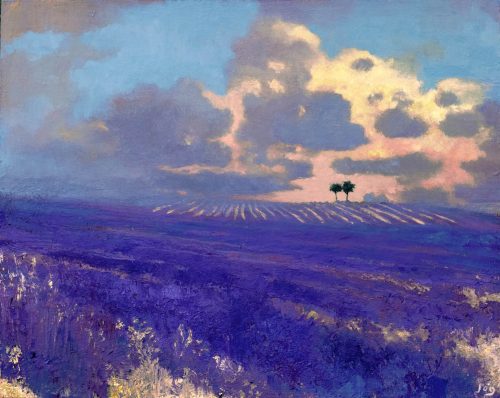 Falling Light in Ferrassières by John O' Grady | An oil painting of lavender fields at sunset in Provence