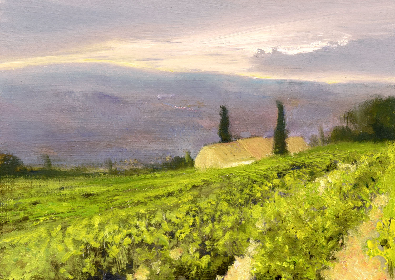 Sunrise in the Vineyards, John O'Grady | A landscape painting of a vineyard in the morning light