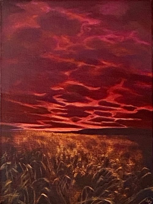 Sunset painting with cloudy magenta sky and gold grasses