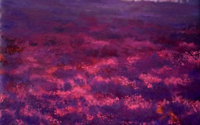 Morning Mist and Bog Heather III