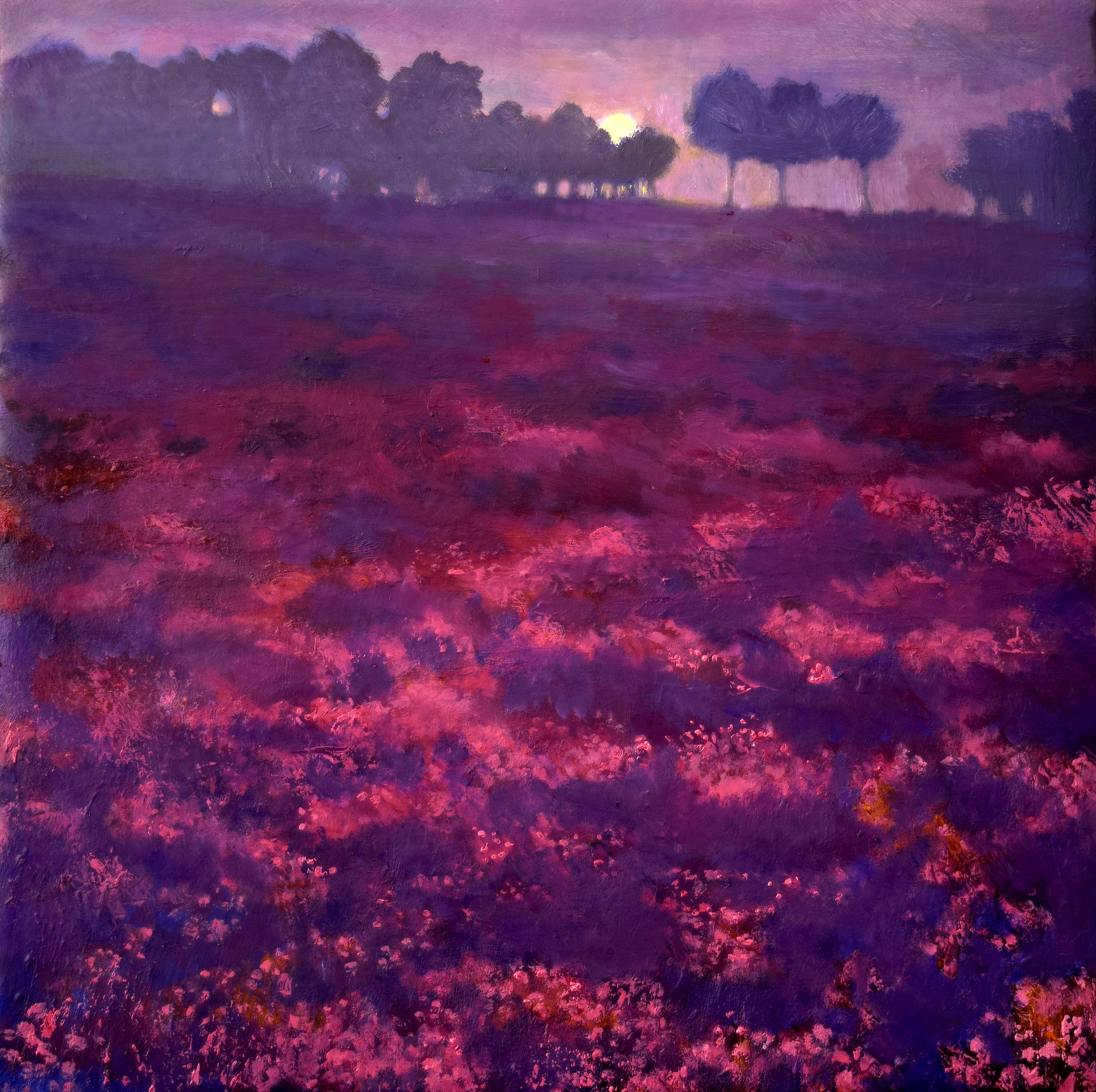 Small atmospheric oil on canvas painting of the sun rising one cool autumnal day on the bog covered with purple heather